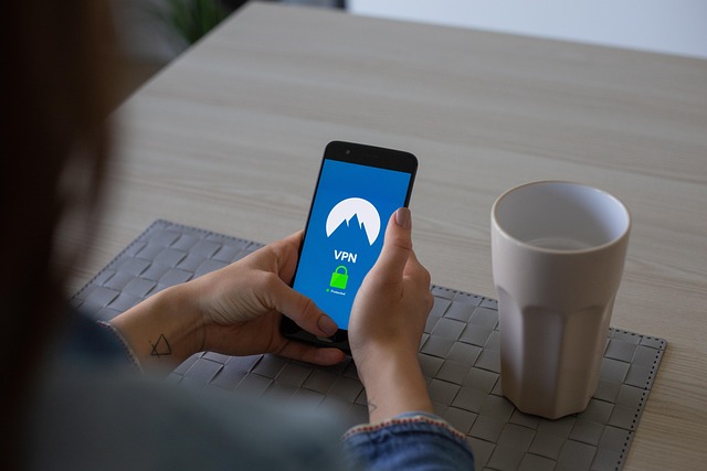 Les meilleures pratiques pour sécuriser vos données personnelles en ligne